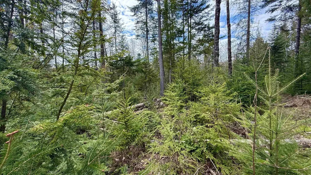 227 Dukes Road Johnson VT 05656