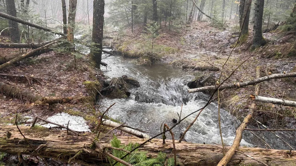 227 Dukes Road Johnson VT 05656