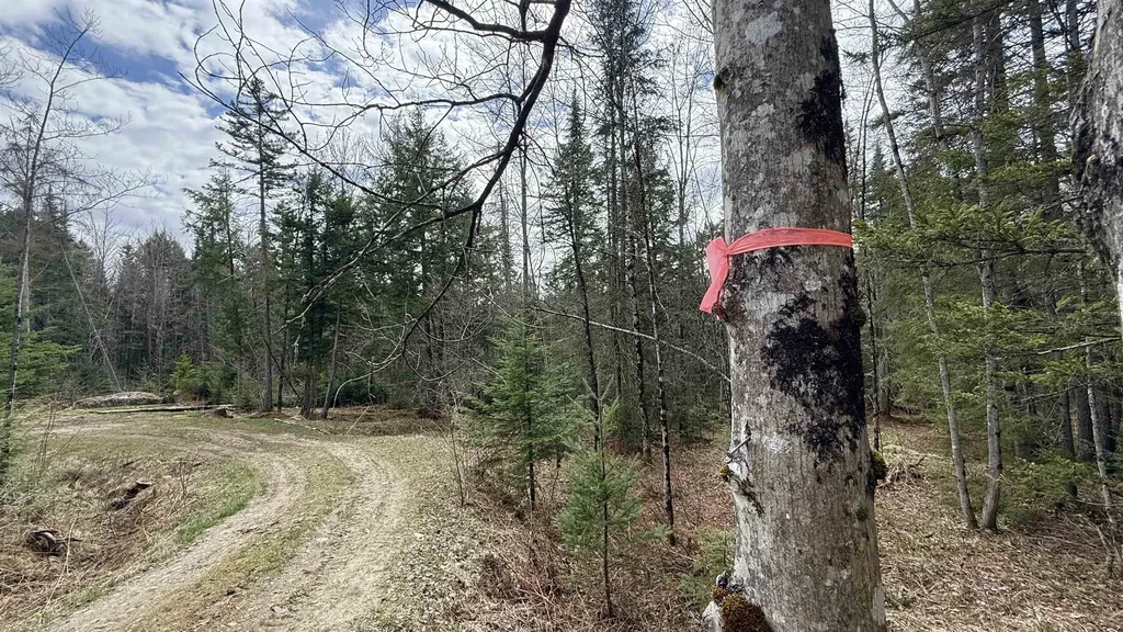 227 Dukes Road Johnson VT 05656
