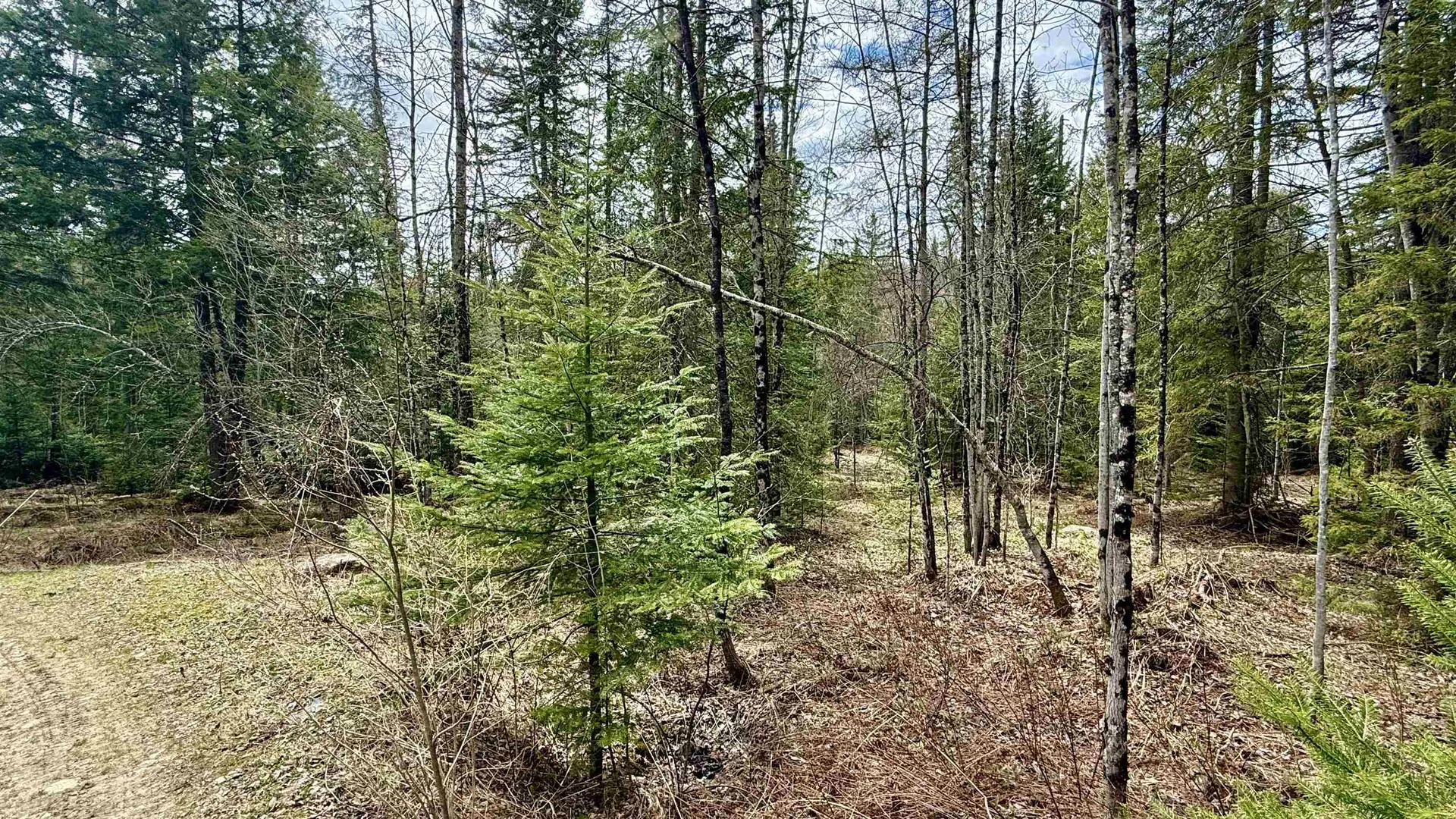 227 Dukes Road Johnson VT 05656