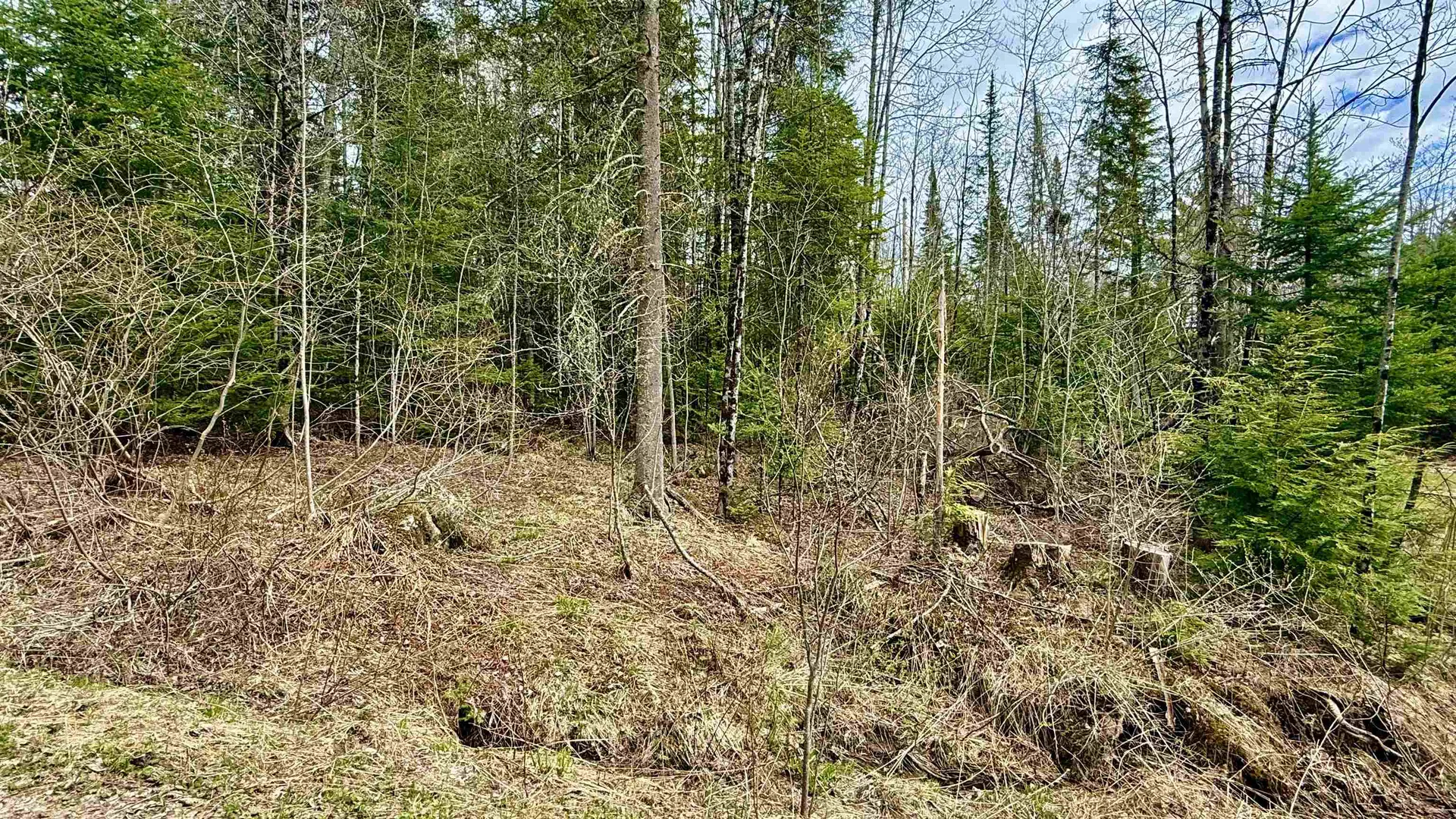 227 Dukes Road Johnson VT 05656