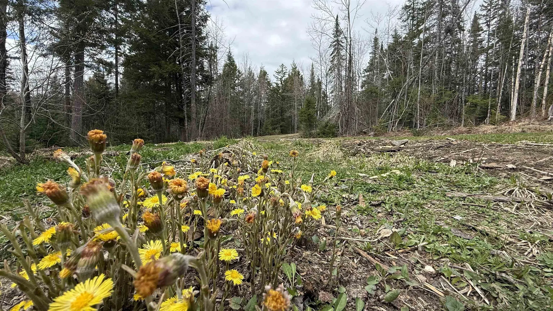 227 Dukes Road Johnson VT 05656