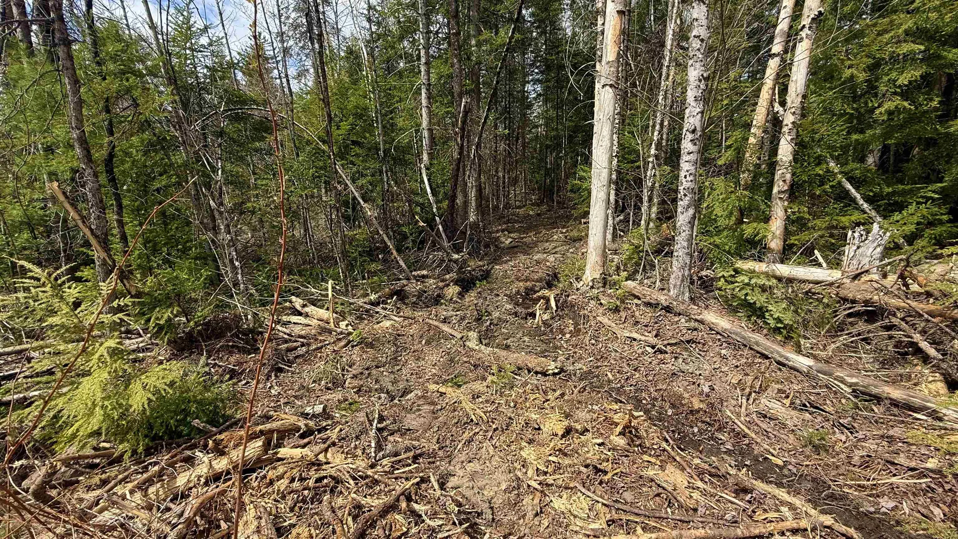 227 Dukes Road Johnson VT 05656