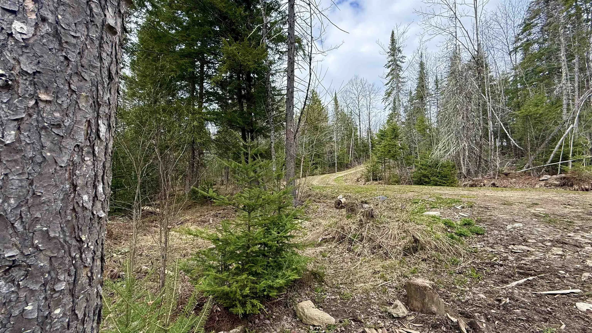227 Dukes Road Johnson VT 05656