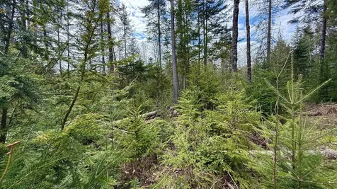 227 Dukes Road Johnson VT 05656