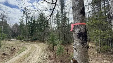 227 Dukes Road Johnson VT 05656