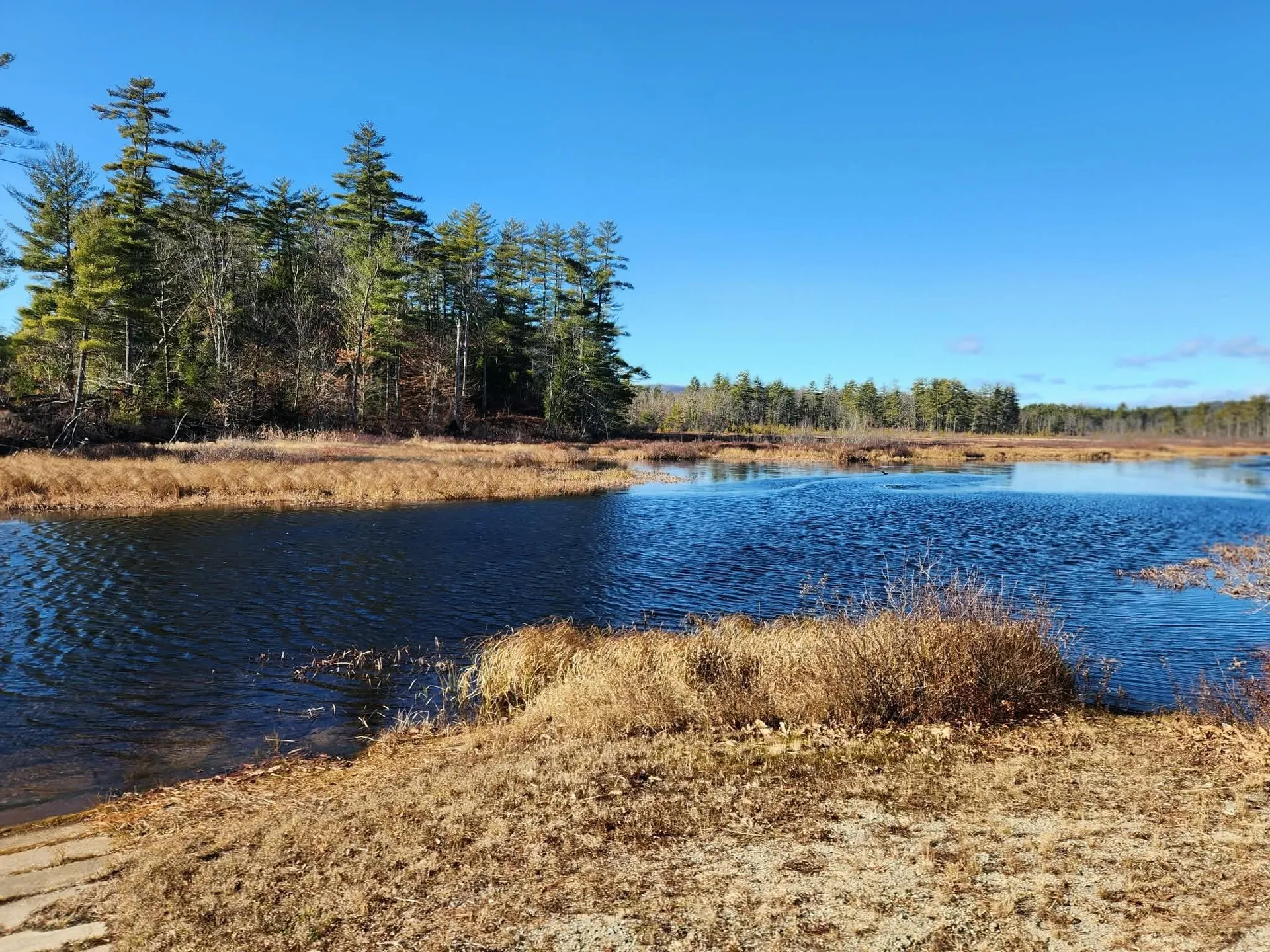 345 Heron Point Road Alton NH 03809