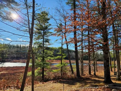 345 Heron Point Road Alton NH 03809