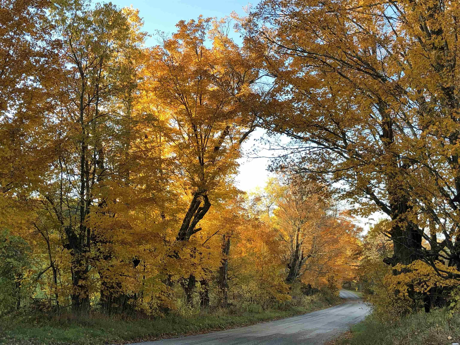 717 Remick Road Waterford VT 05819