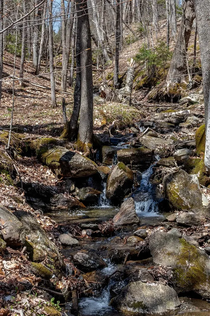 29 Schoolhouse Brook Lane Fayston VT 05660