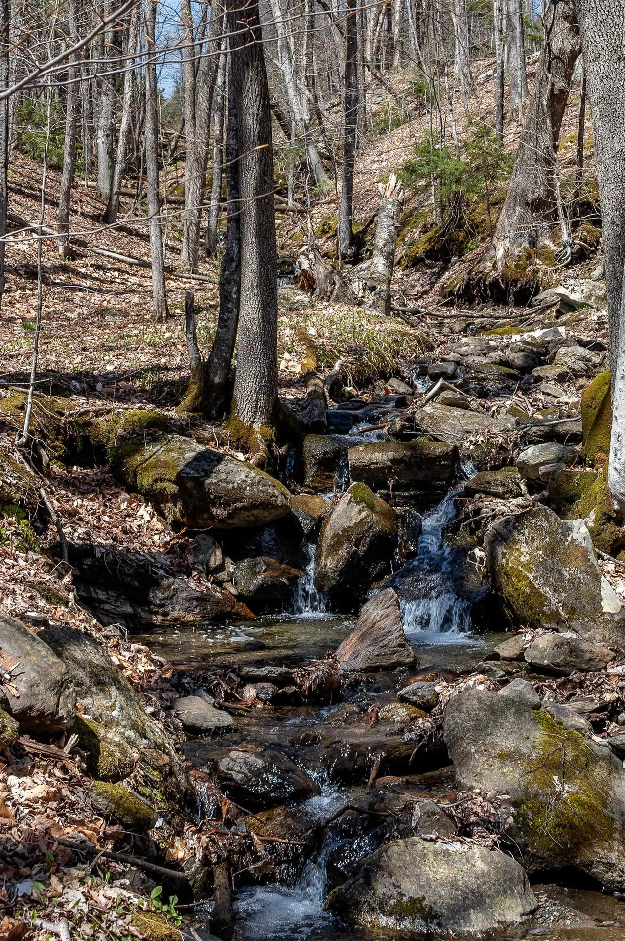 29 Schoolhouse Brook Lane Fayston VT 05660