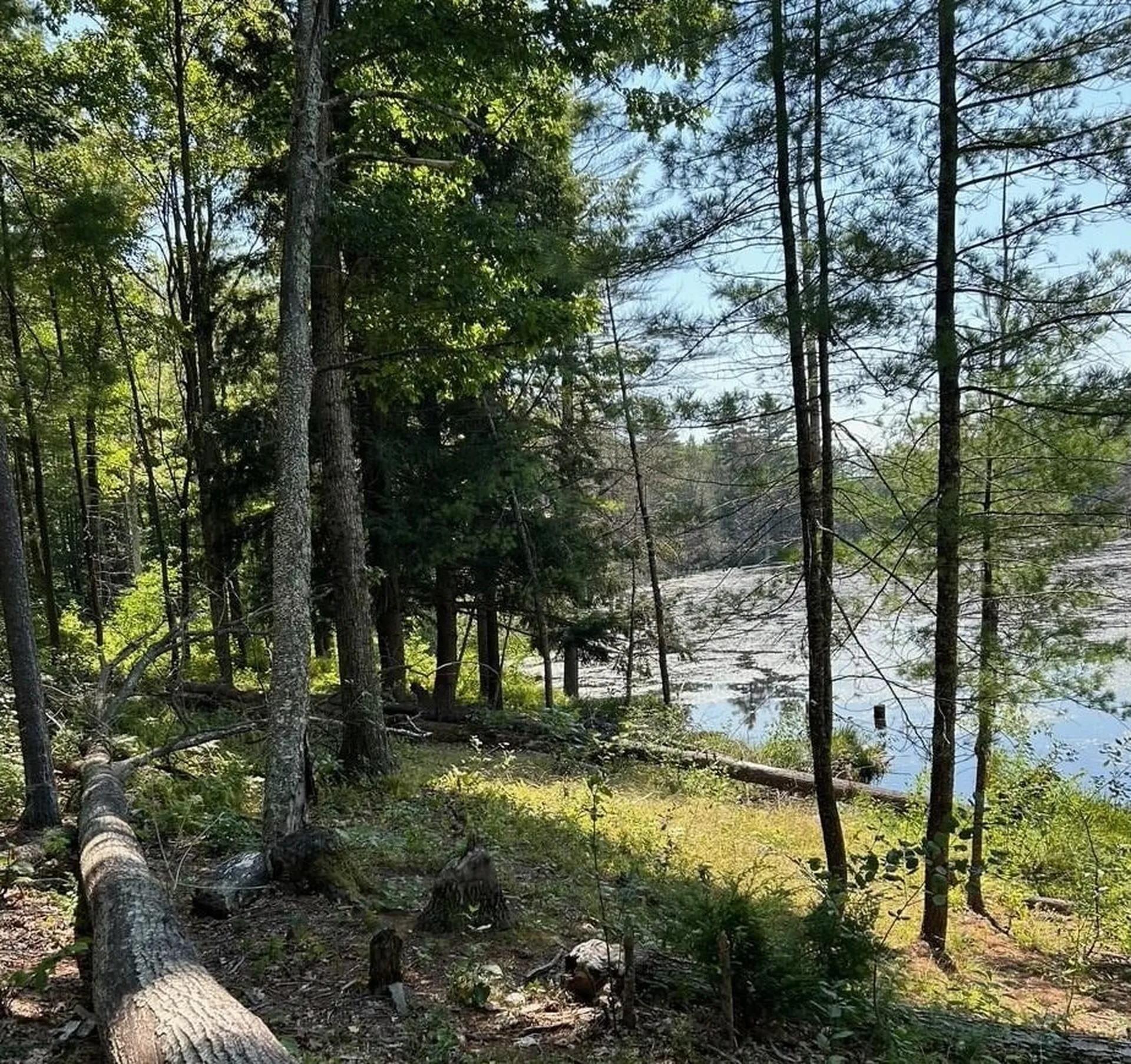 141 Farm Road Surry NH 03431