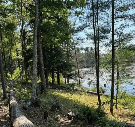 141 Farm Road Surry NH 03431