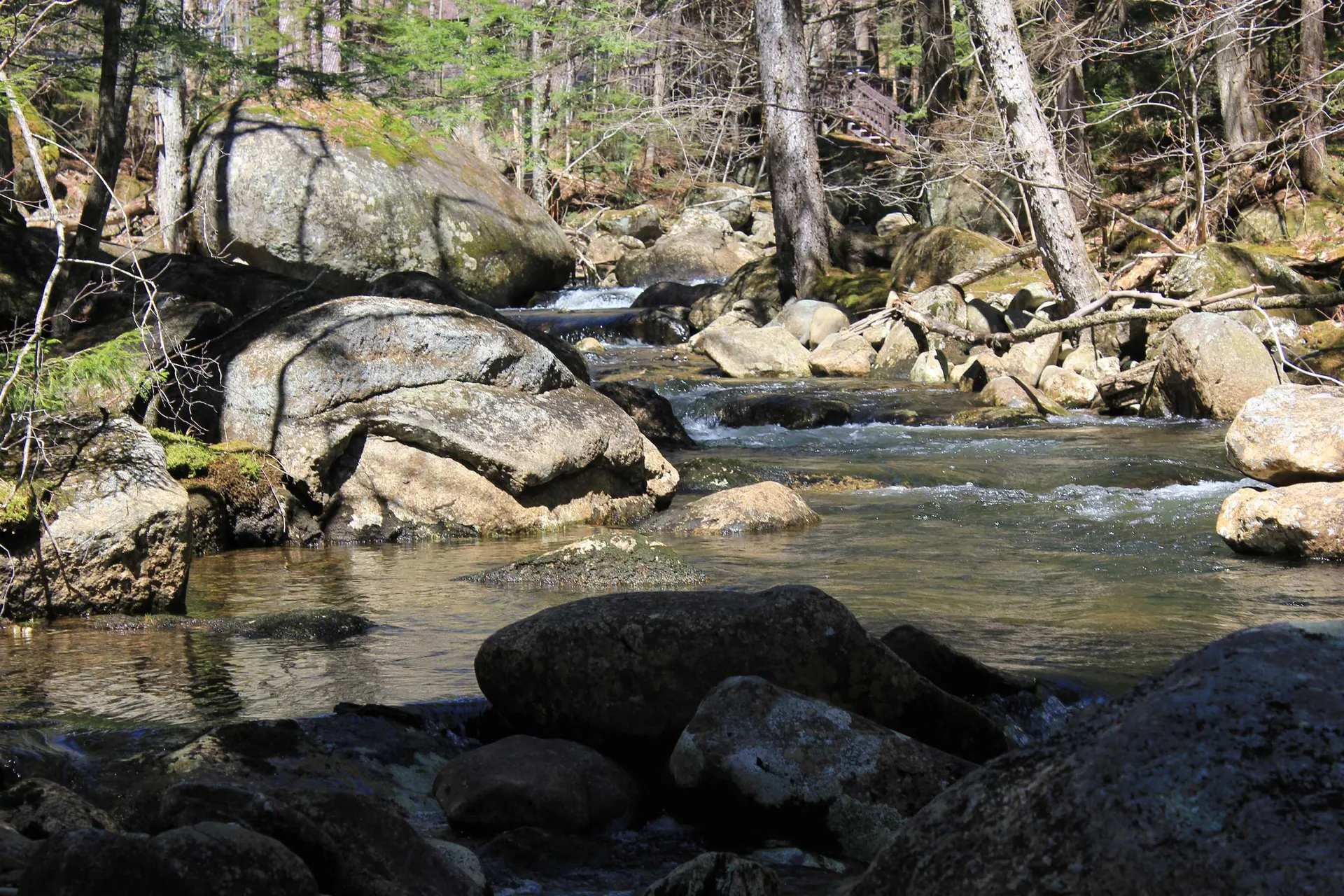 1784 Stinson Lake Road Rumney NH 03266