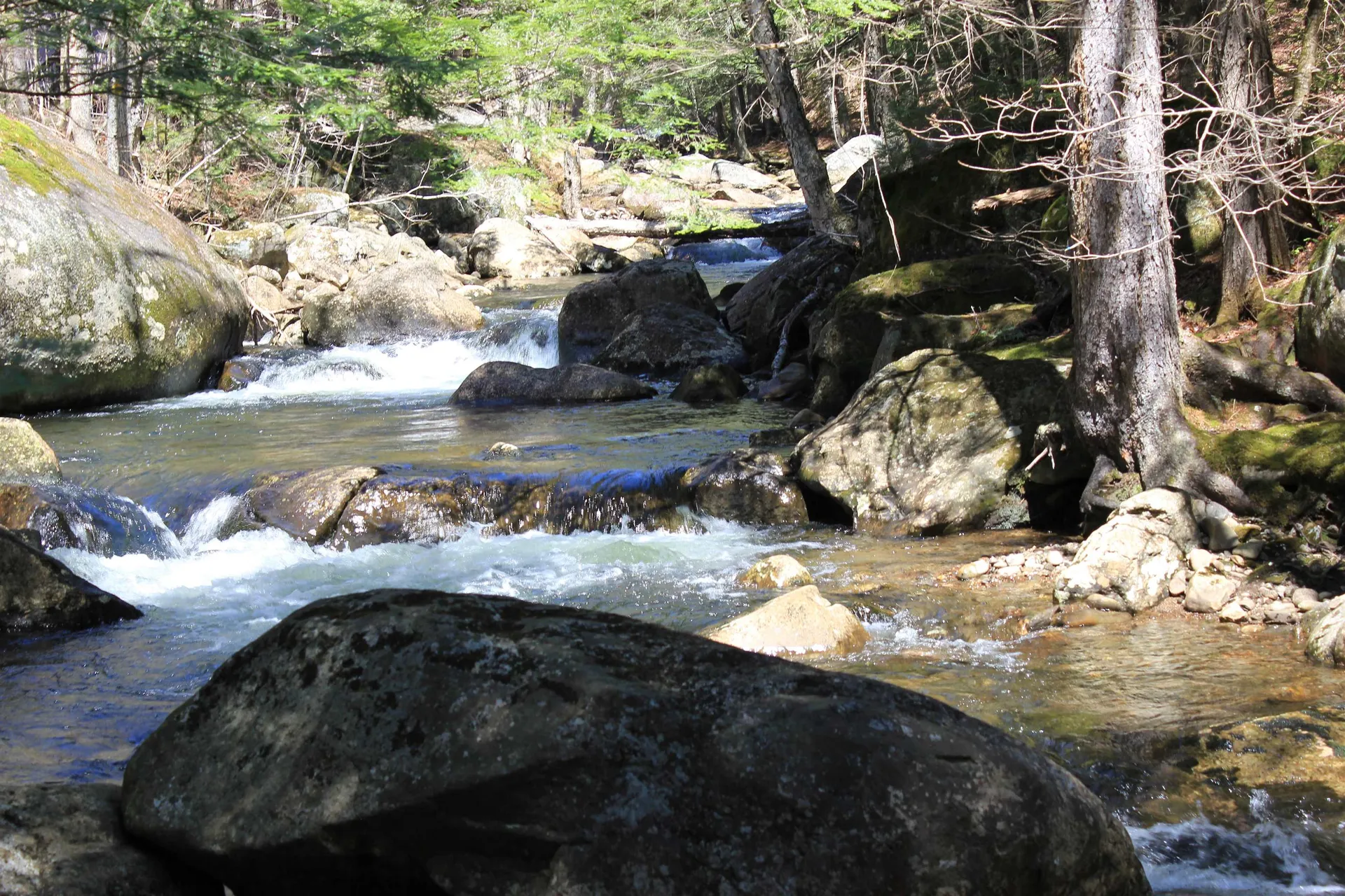 1784 Stinson Lake Road Rumney NH 03266
