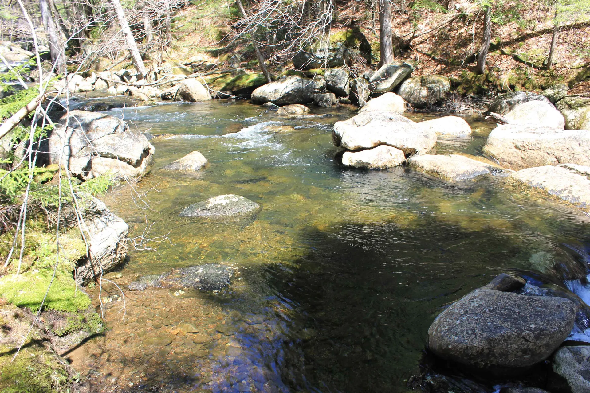 1784 Stinson Lake Road Rumney NH 03266