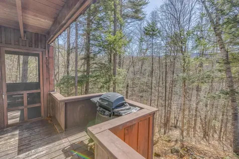 1784 Stinson Lake Road Rumney NH 03266