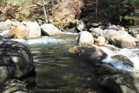 1784 Stinson Lake Road Rumney NH 03266