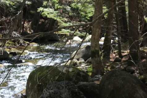 1784 Stinson Lake Road Rumney NH 03266