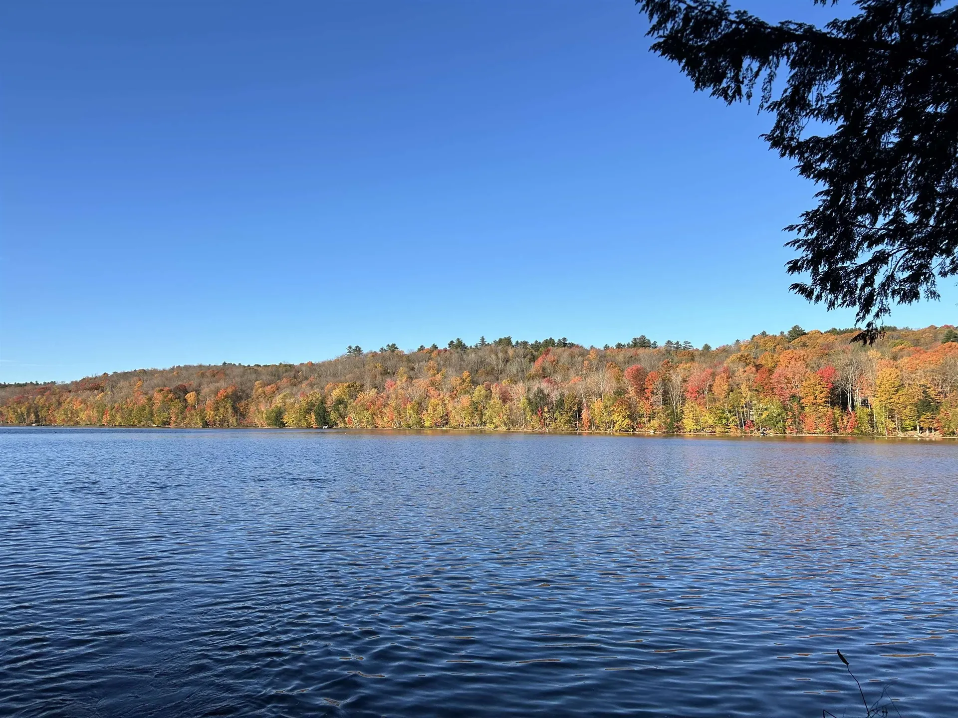 15 Sunset Walk Enfield NH 03748