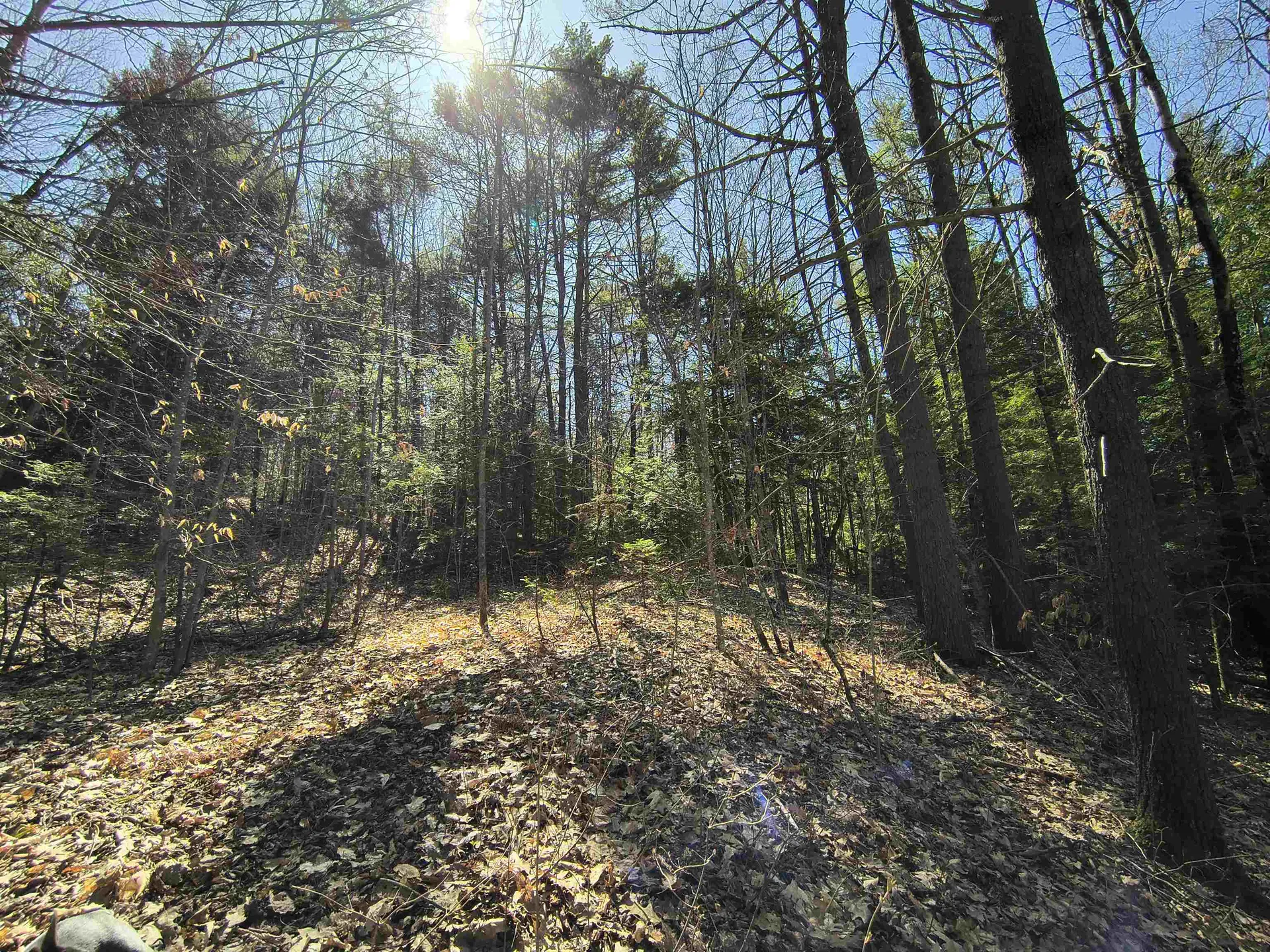 0 Littlefield Road Danbury NH 03230