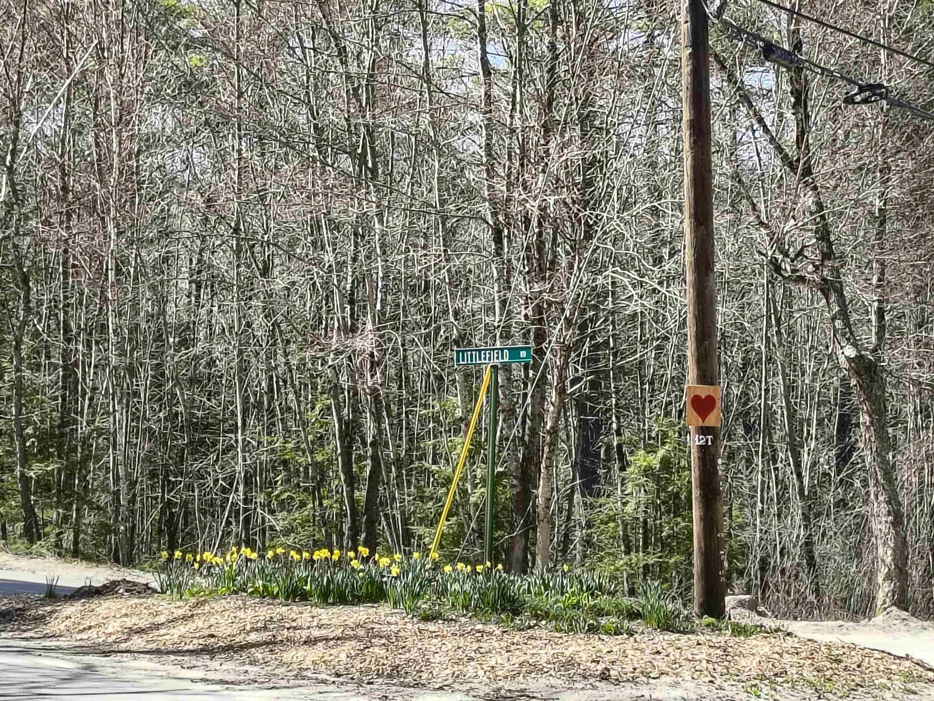 0 Littlefield Road Danbury NH 03230