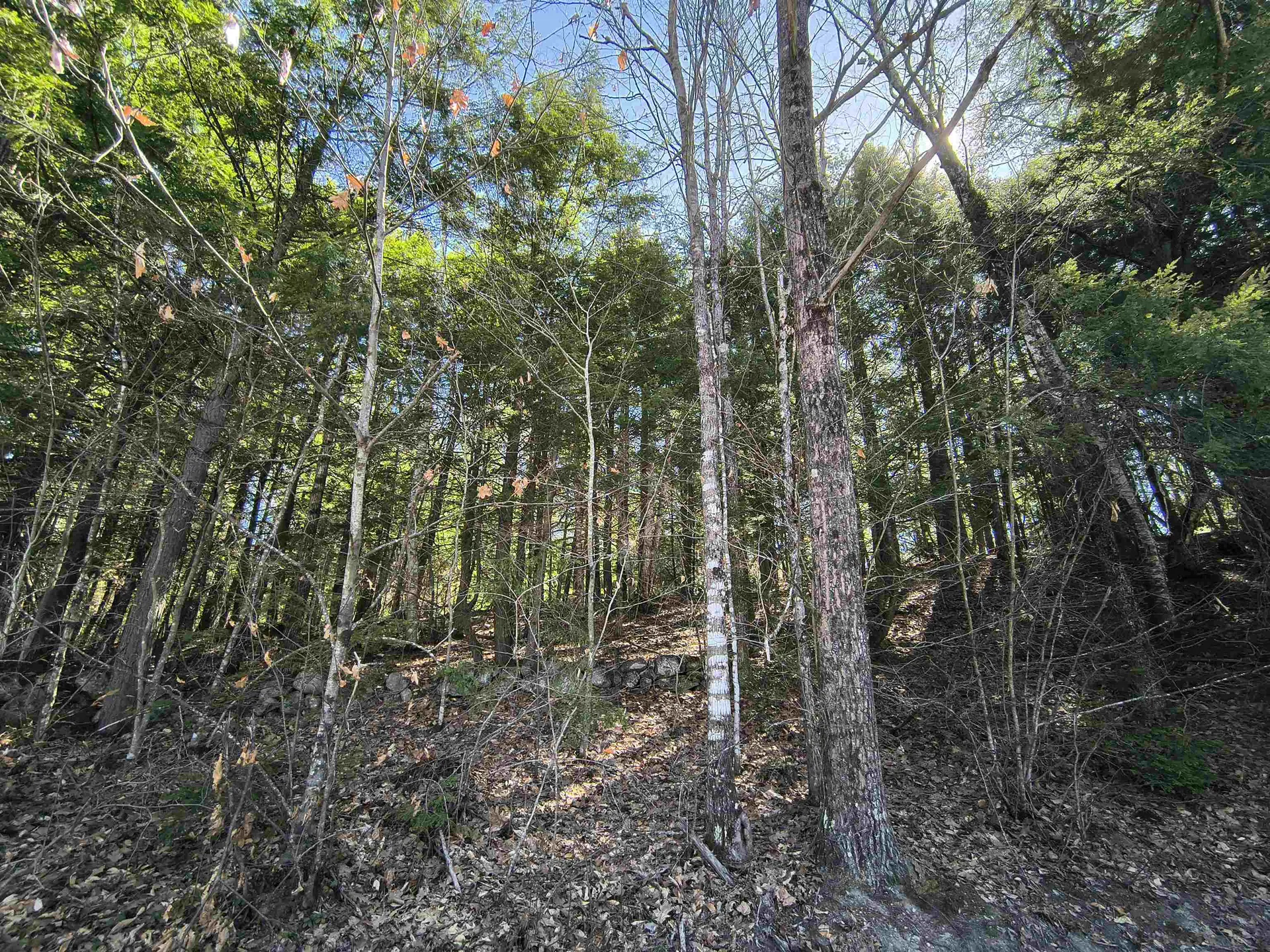 0 Littlefield Road Danbury NH 03230