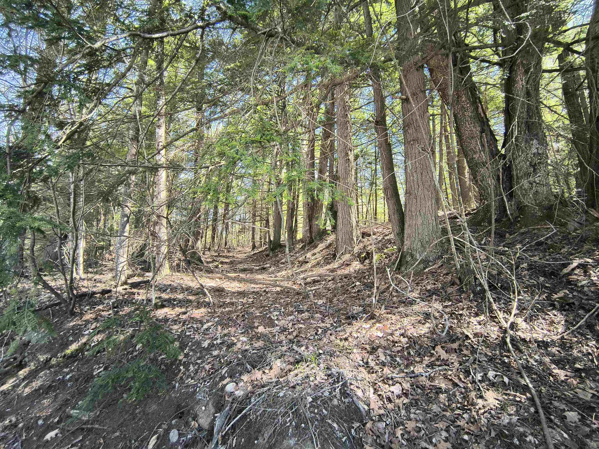0 Littlefield Road Danbury NH 03230