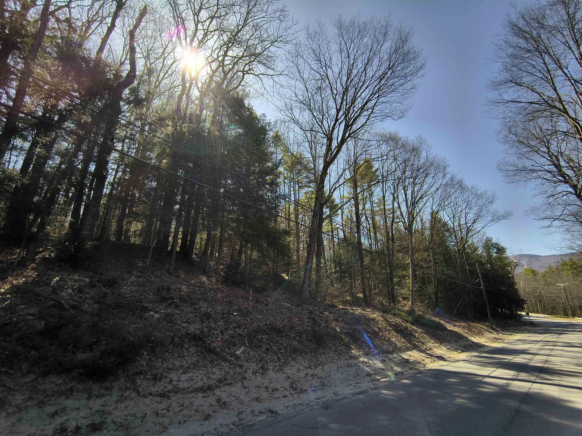0 Littlefield Road Danbury NH 03230