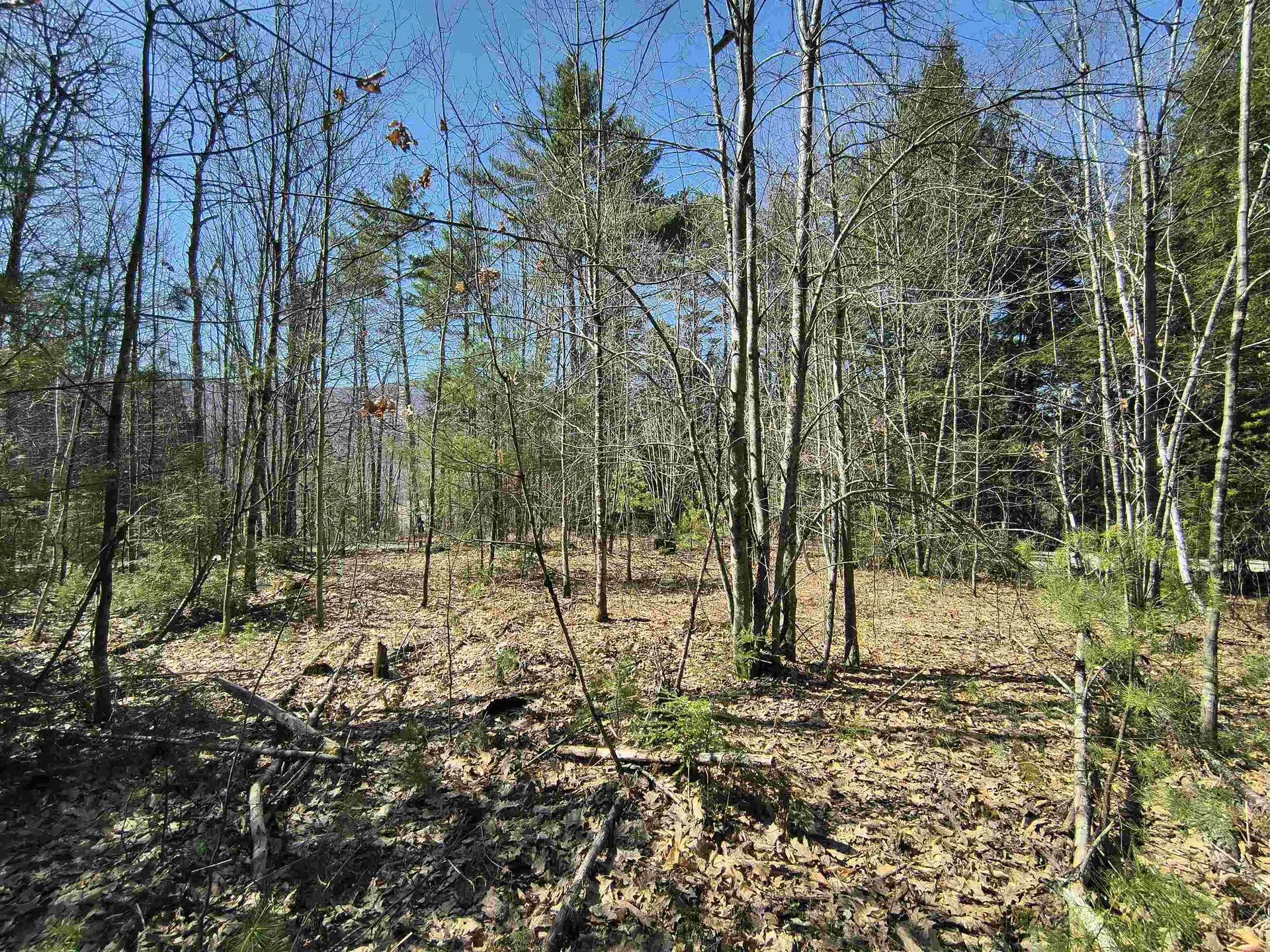 0 Littlefield Road Danbury NH 03230