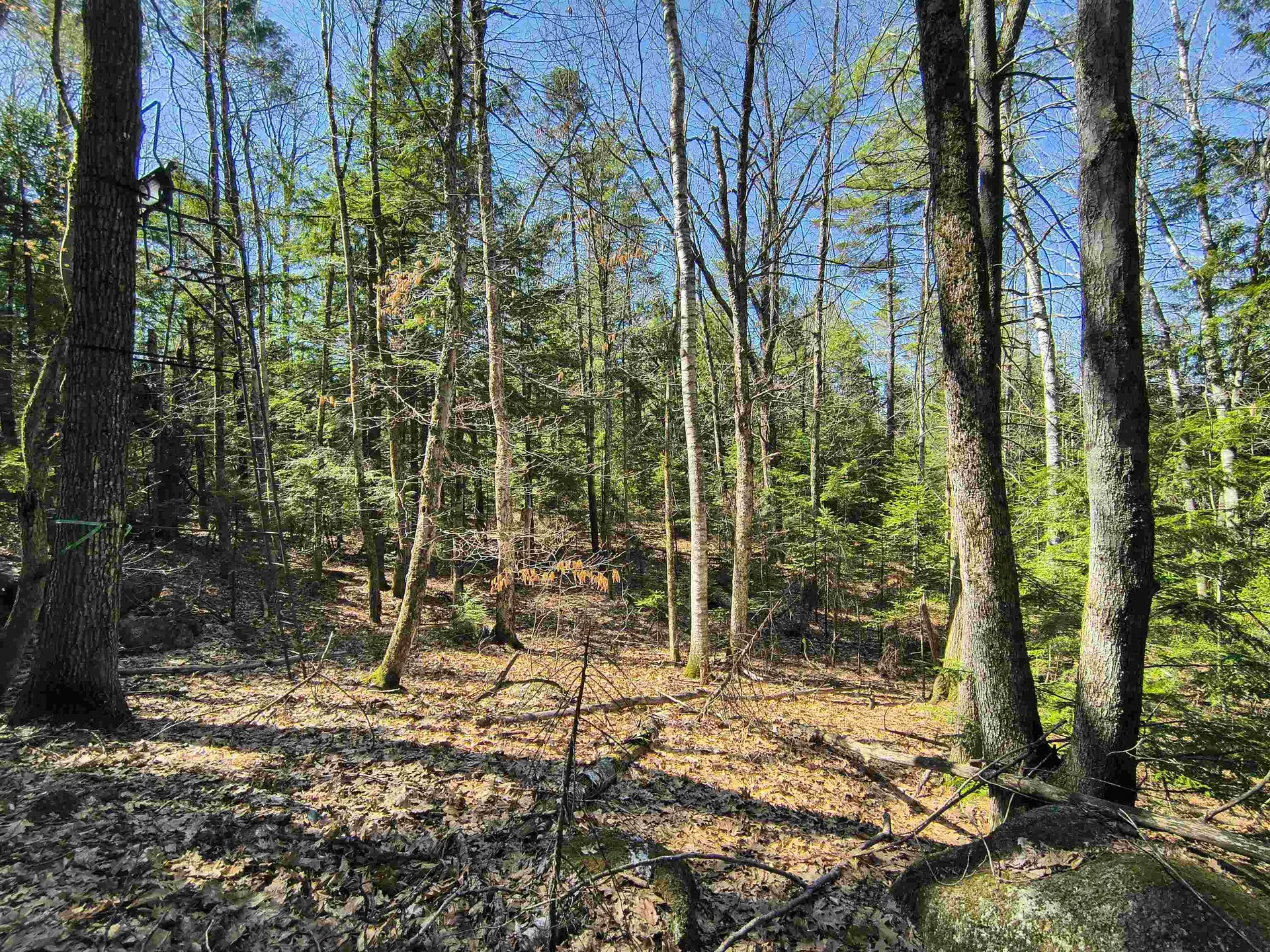 0 Littlefield Road Danbury NH 03230