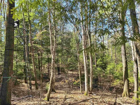 0 Littlefield Road Danbury NH 03230