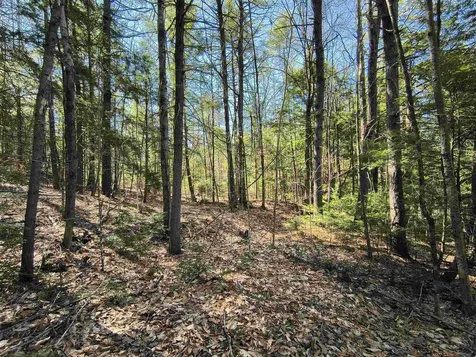 0 Littlefield Road Danbury NH 03230
