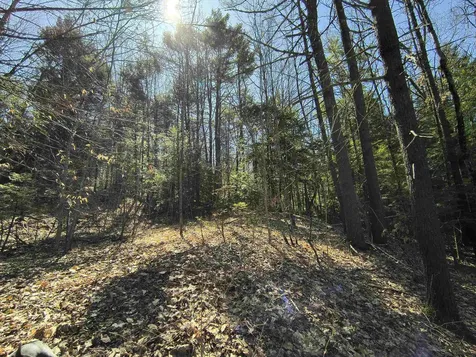 0 Littlefield Road Danbury NH 03230