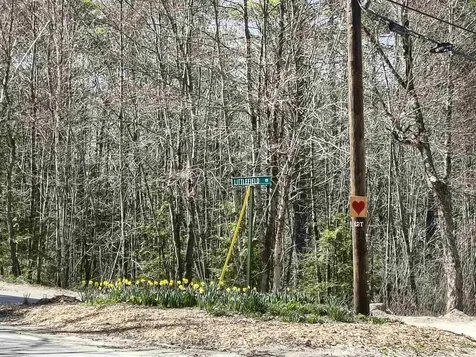0 Littlefield Road Danbury NH 03230