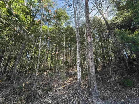 0 Littlefield Road Danbury NH 03230