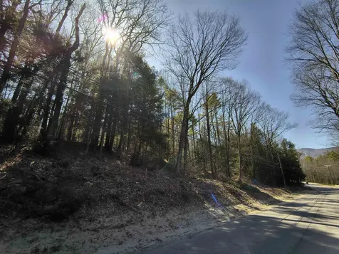 0 Littlefield Road Danbury NH 03230