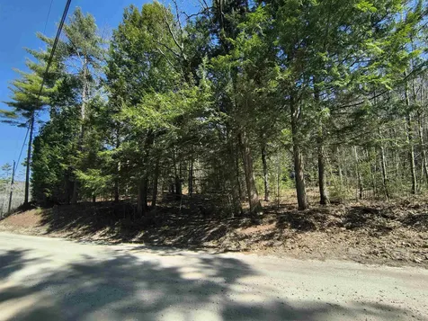 0 Littlefield Road Danbury NH 03230