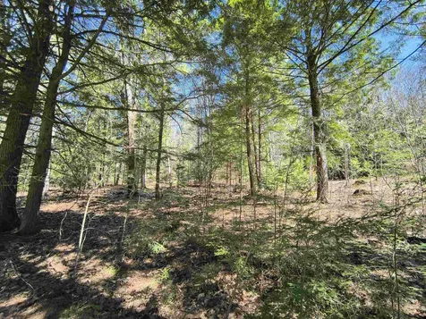 0 Littlefield Road Danbury NH 03230