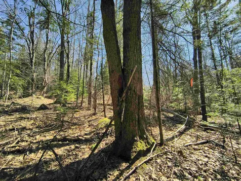 0 Littlefield Road Danbury NH 03230