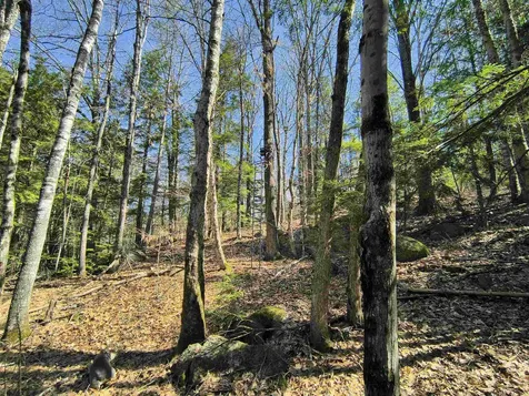 0 Littlefield Road Danbury NH 03230