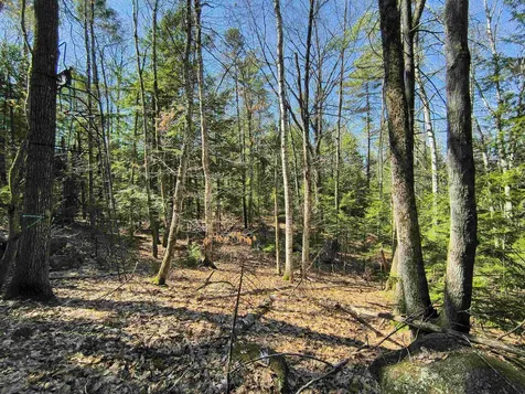0 Littlefield Road Danbury NH 03230