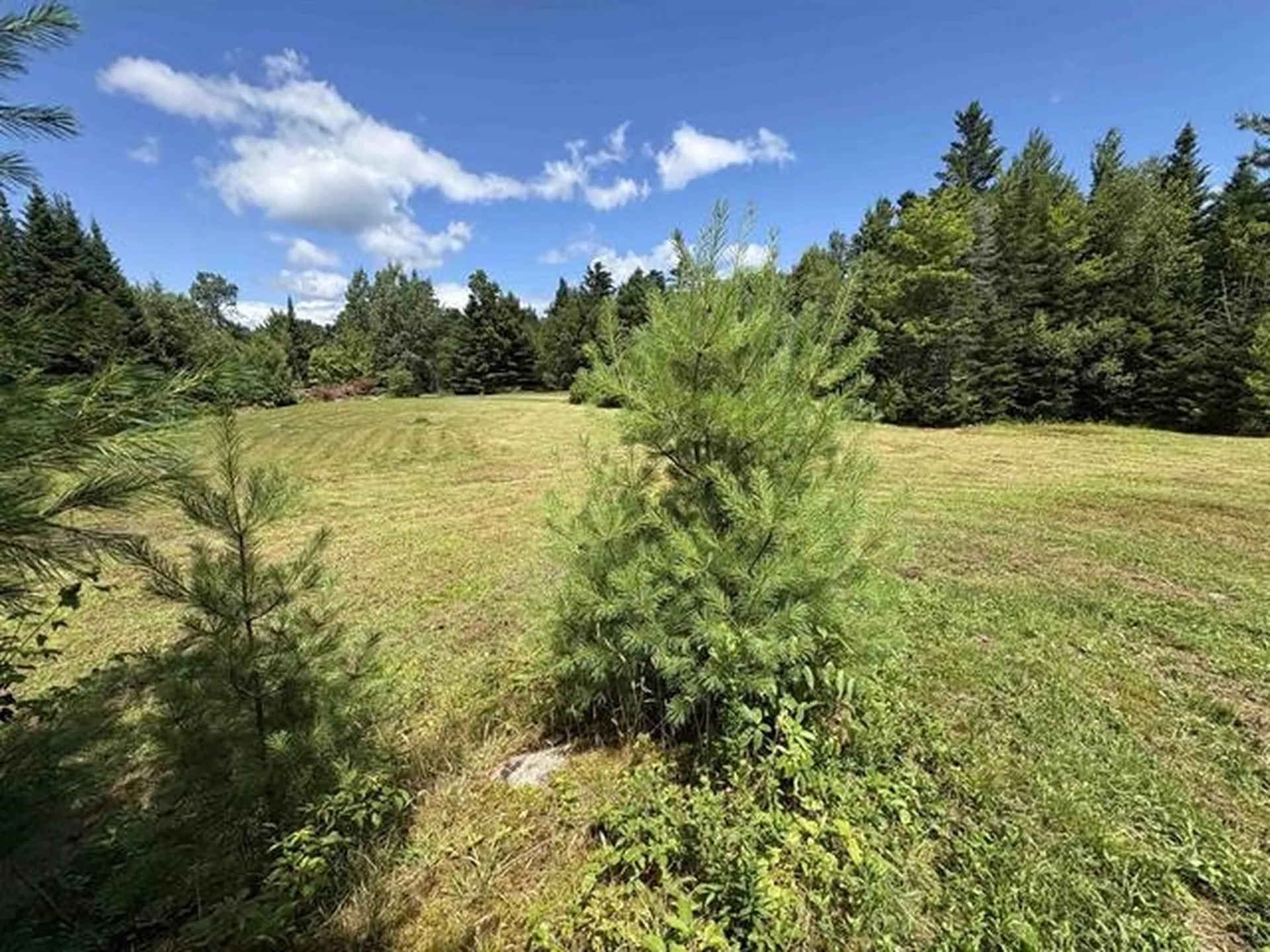 4366 Vt Rt 100 N Hyde Park VT 05655