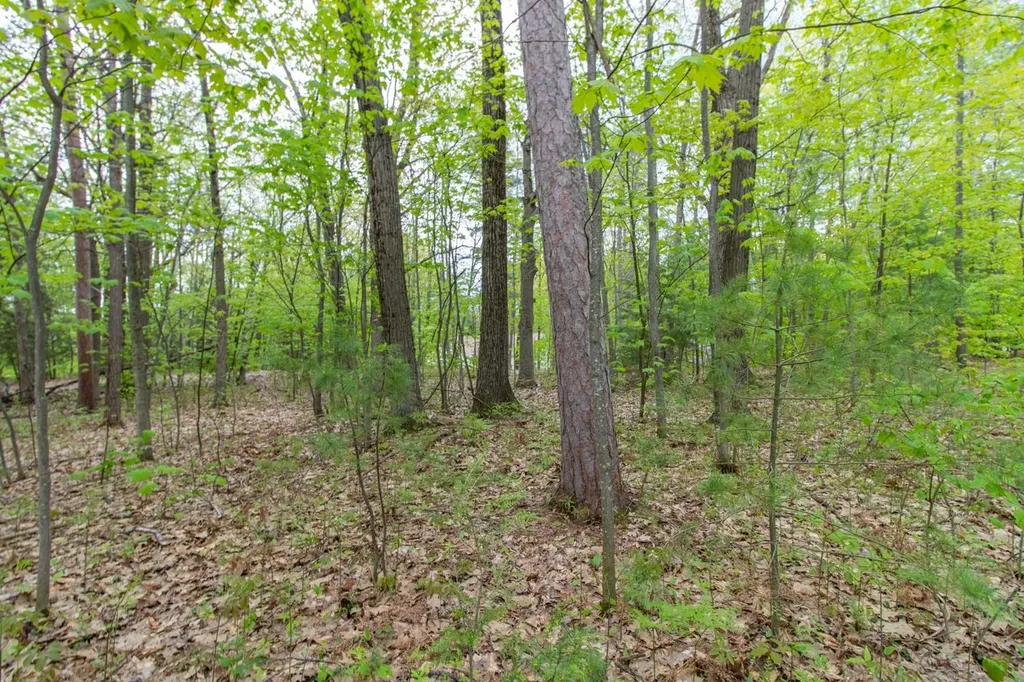 Clover Lane Newport City VT 05855