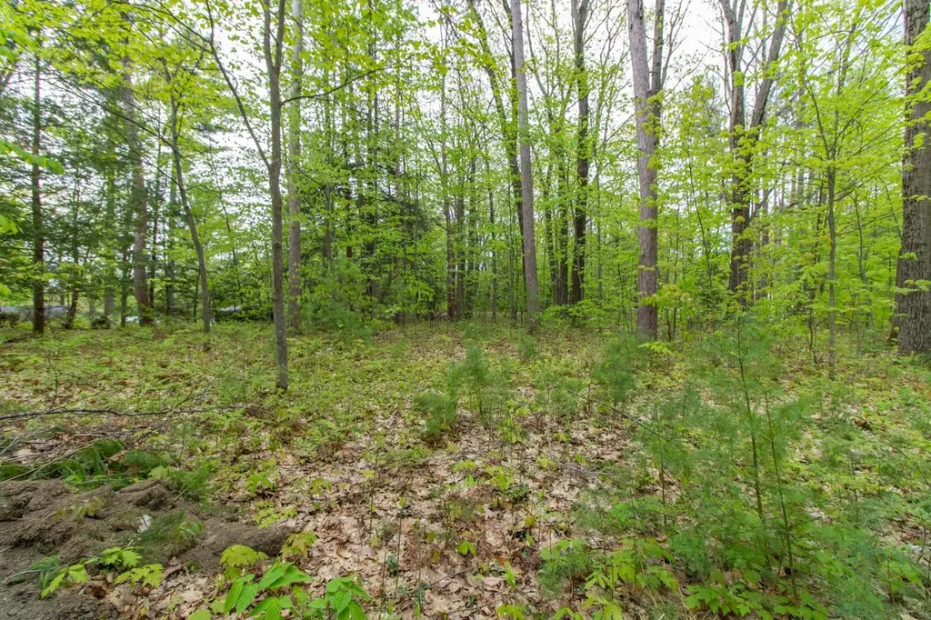 Clover Lane Newport City VT 05855