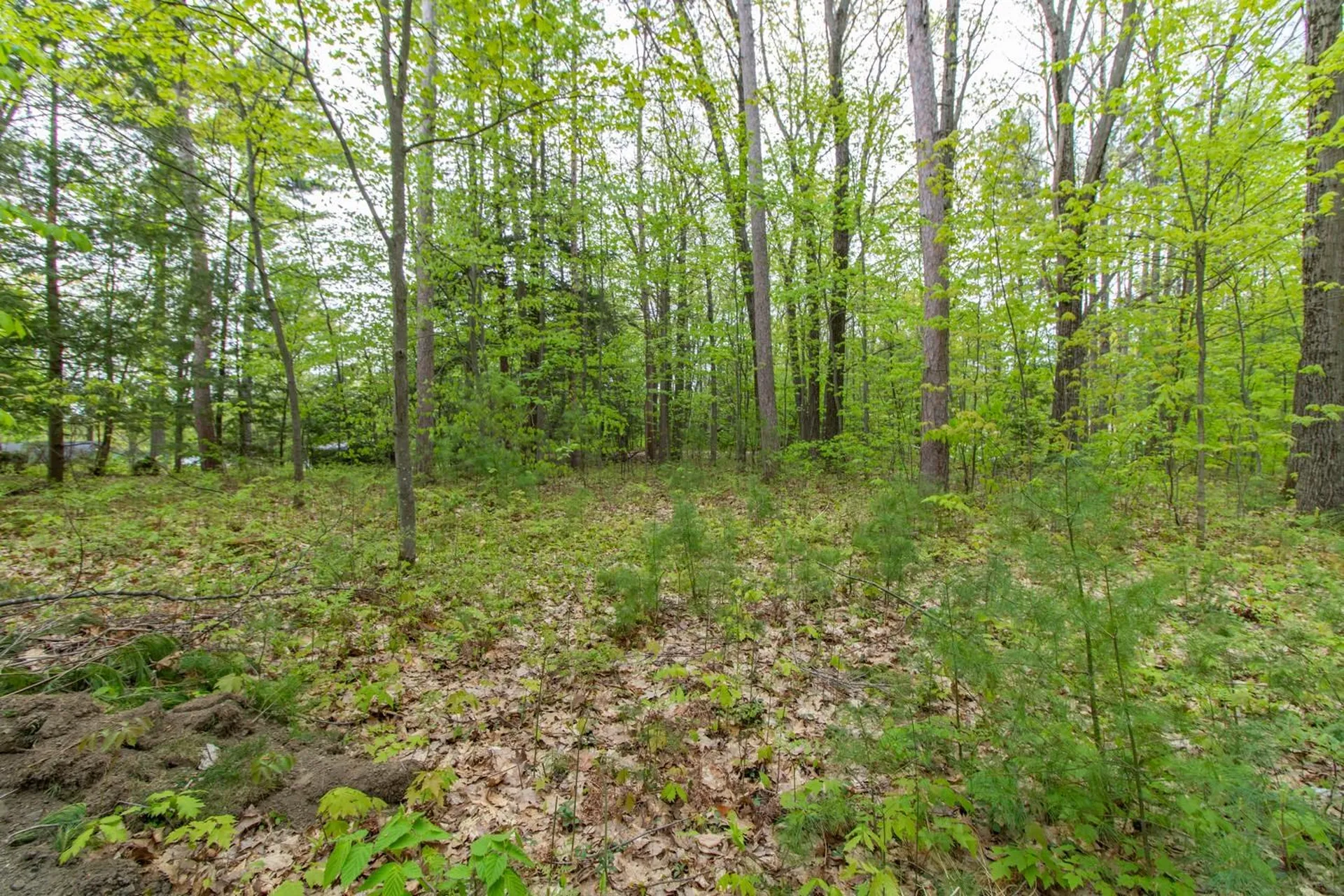 Clover Lane Newport City VT 05855