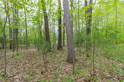 Clover Lane Newport City VT 05855