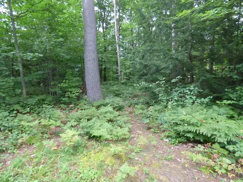Clover Lane Newport City VT 05855