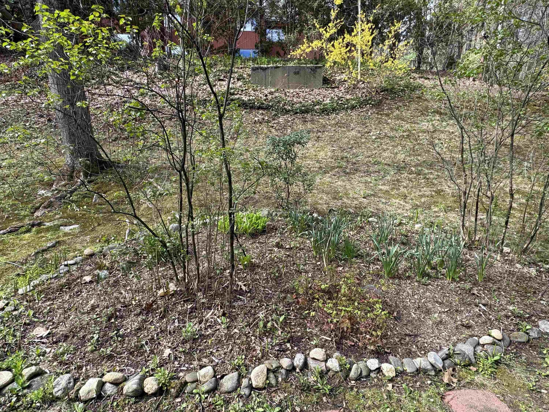 17 Robin Way Brattleboro VT 05301