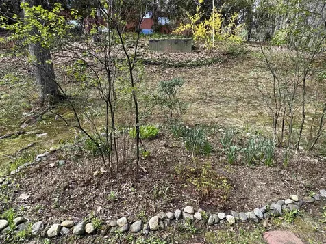 17 Robin Way Brattleboro VT 05301